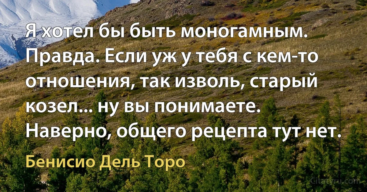 Я хотел бы быть моногамным. Правда. Если уж у тебя с кем-то отношения, так изволь, старый козел... ну вы понимаете. Наверно, общего рецепта тут нет. (Бенисио Дель Торо)