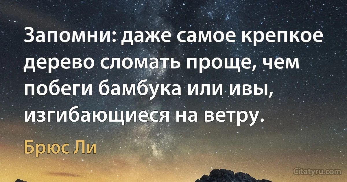 Запомни: даже самое крепкое дерево сломать проще, чем побеги бамбука или ивы, изгибающиеся на ветру. (Брюс Ли)