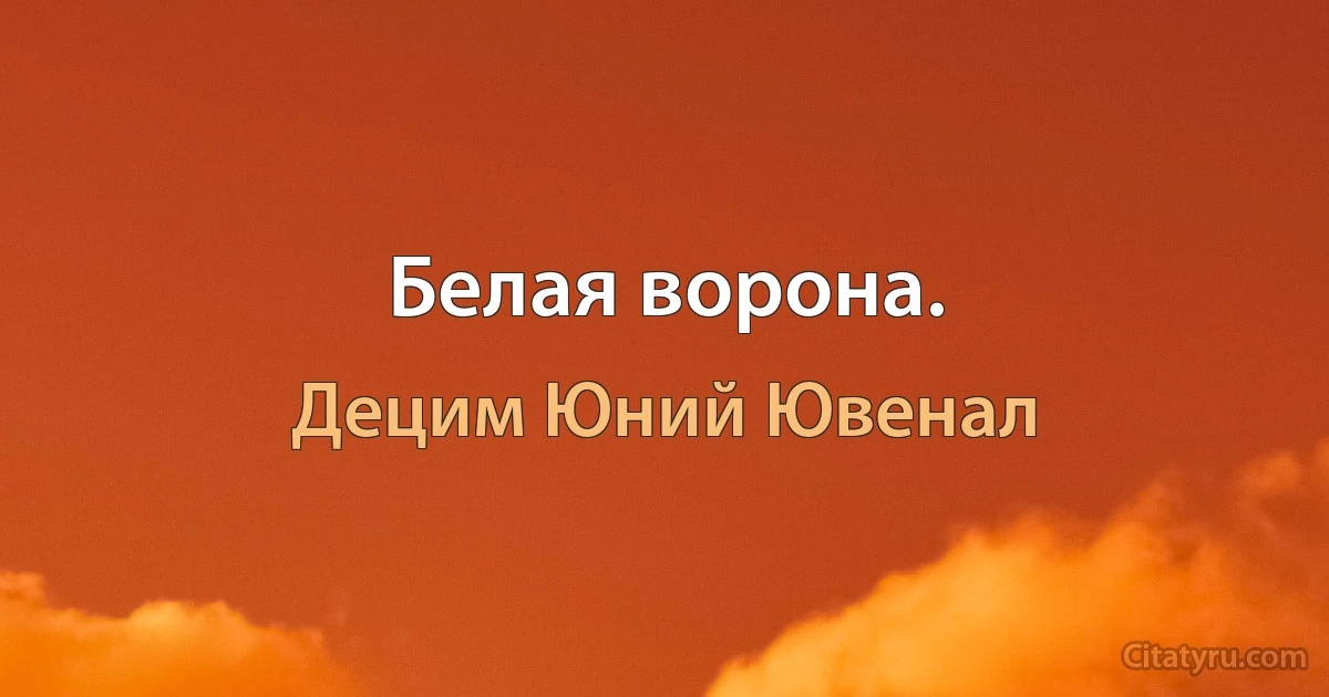 Белая ворона. (Децим Юний Ювенал)