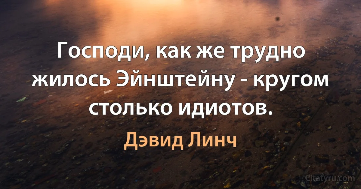 Господи, как же трудно жилось Эйнштейну - кругом столько идиотов. (Дэвид Линч)