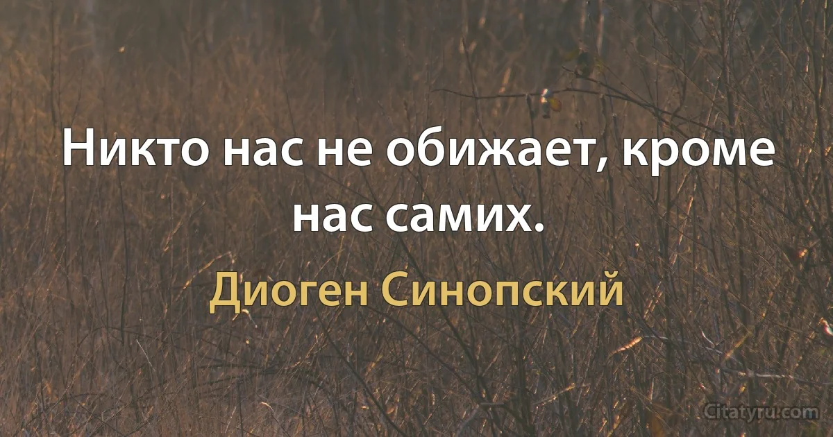 Никто нас не обижает, кроме нас самих. (Диоген Синопский)