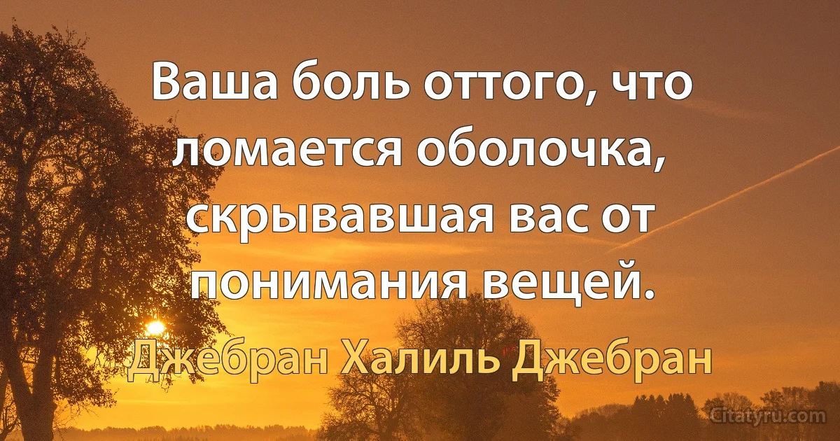 Ваша боль оттого, что ломается оболочка, скрывавшая вас от понимания вещей. (Джебран Халиль Джебран)