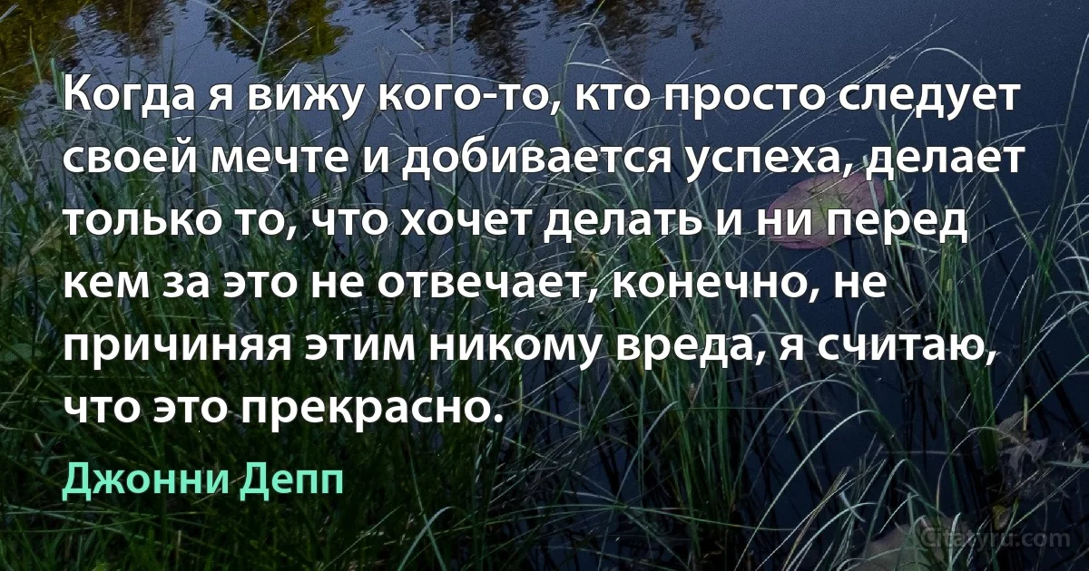 Когда я вижу кого-то, кто просто следует своей мечте и добивается успеха, делает только то, что хочет делать и ни перед кем за это не отвечает, конечно, не причиняя этим никому вреда, я считаю, что это прекрасно. (Джонни Депп)