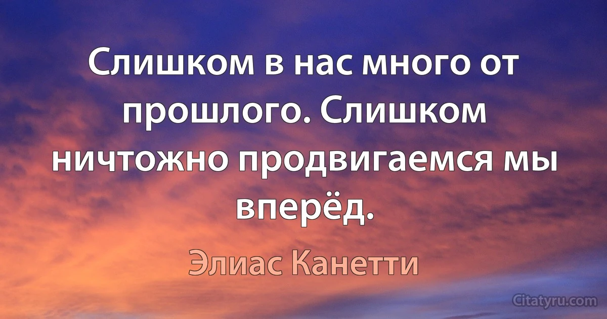 Слишком в нас много от прошлого. Слишком ничтожно продвигаемся мы вперёд. (Элиас Канетти)