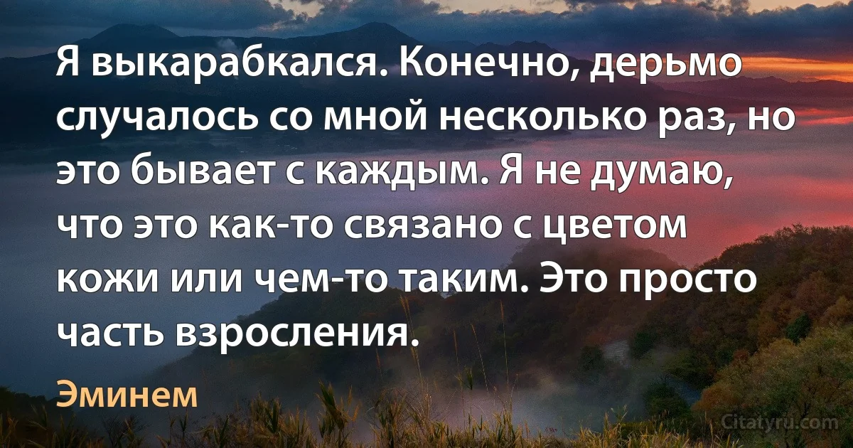 Я выкарабкался. Конечно, дерьмо случалось со мной несколько раз, но это бывает с каждым. Я не думаю, что это как-то связано с цветом кожи или чем-то таким. Это просто часть взросления. (Эминем)