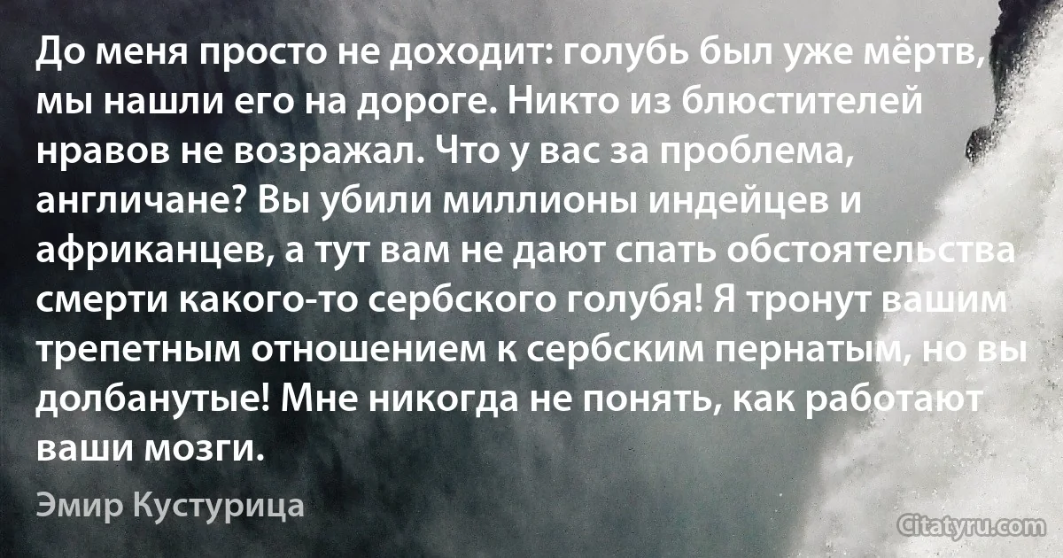 До меня просто не доходит: голубь был уже мёртв, мы нашли его на дороге. Никто из блюстителей нравов не возражал. Что у вас за проблема, англичане? Вы убили миллионы индейцев и африканцев, а тут вам не дают спать обстоятельства смерти какого-то сербского голубя! Я тронут вашим трепетным отношением к сербским пернатым, но вы долбанутые! Мне никогда не понять, как работают ваши мозги. (Эмир Кустурица)