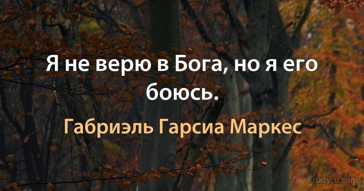 Я не верю в Бога, но я его боюсь. (Габриэль Гарсиа Маркес)