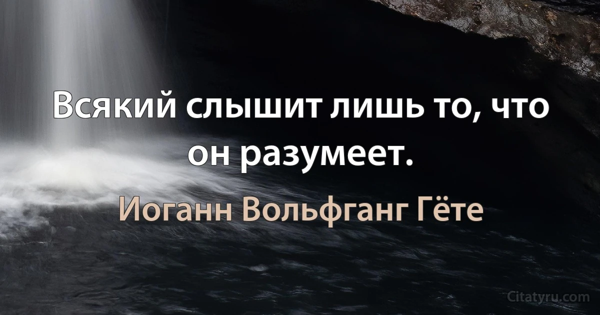 Всякий слышит лишь то, что он разумеет. (Иоганн Вольфганг Гёте)