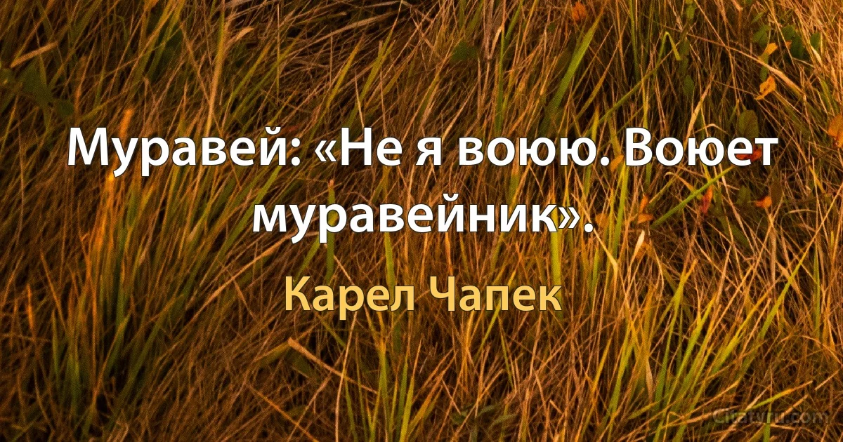 Муравей: «Не я воюю. Воюет муравейник». (Карел Чапек)