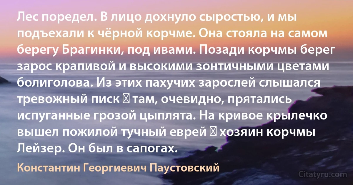 Лес поредел. В лицо дохнуло сыростью, и мы подъехали к чёрной корчме. Она стояла на самом берегу Брагинки, под ивами. Позади корчмы берег зарос крапивой и высокими зонтичными цветами болиголова. Из этих пахучих зарослей слышался тревожный писк ― там, очевидно, прятались испуганные грозой цыплята. На кривое крылечко вышел пожилой тучный еврей ― хозяин корчмы Лейзер. Он был в сапогах. (Константин Георгиевич Паустовский)