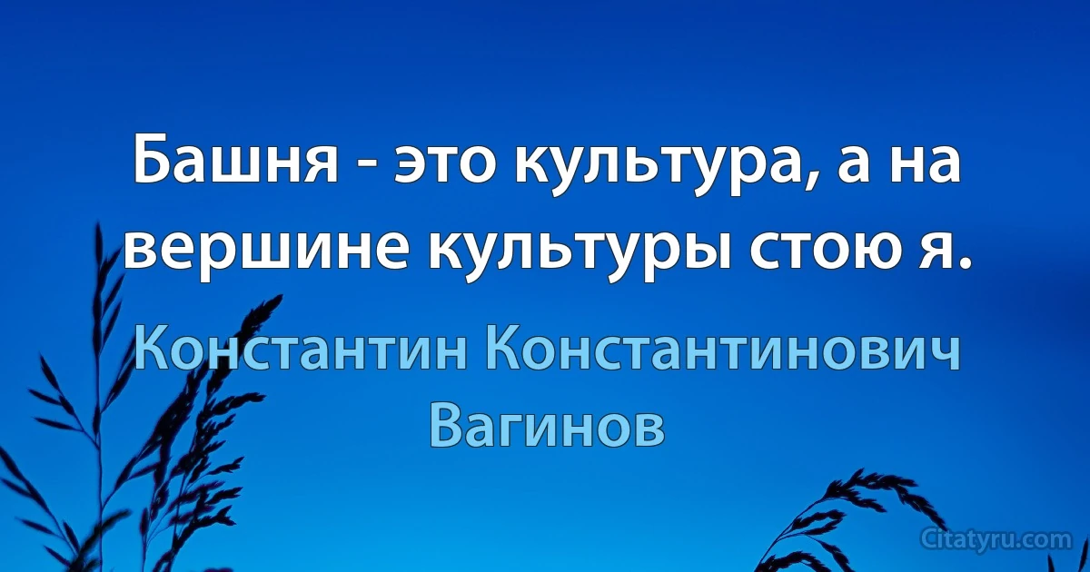 Башня - это культура, а на вершине культуры стою я. (Константин Константинович Вагинов)