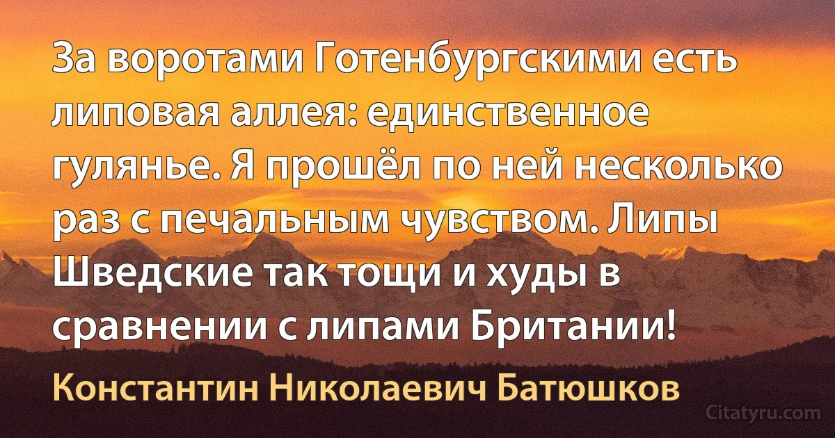 За воротами Готенбургскими есть липовая аллея: единственное гулянье. Я прошёл по ней несколько раз с печальным чувством. Липы Шведские так тощи и худы в сравнении с липами Британии! (Константин Николаевич Батюшков)