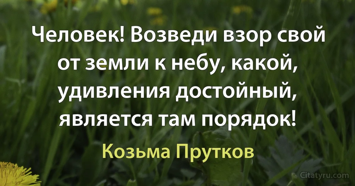 Человек! Возведи взор свой от земли к небу, какой, удивления достойный, является там порядок! (Козьма Прутков)