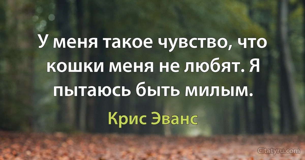 У меня такое чувство, что кошки меня не любят. Я пытаюсь быть милым. (Крис Эванс)