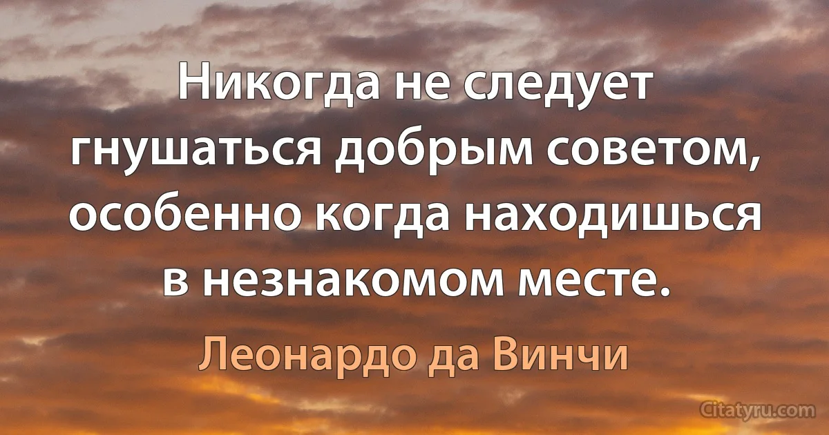 Никогда не следует гнушаться добрым советом, особенно когда находишься в незнакомом месте. (Леонардо да Винчи)