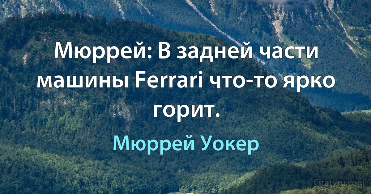 Мюррей: В задней части машины Ferrari что-то ярко горит. (Мюррей Уокер)