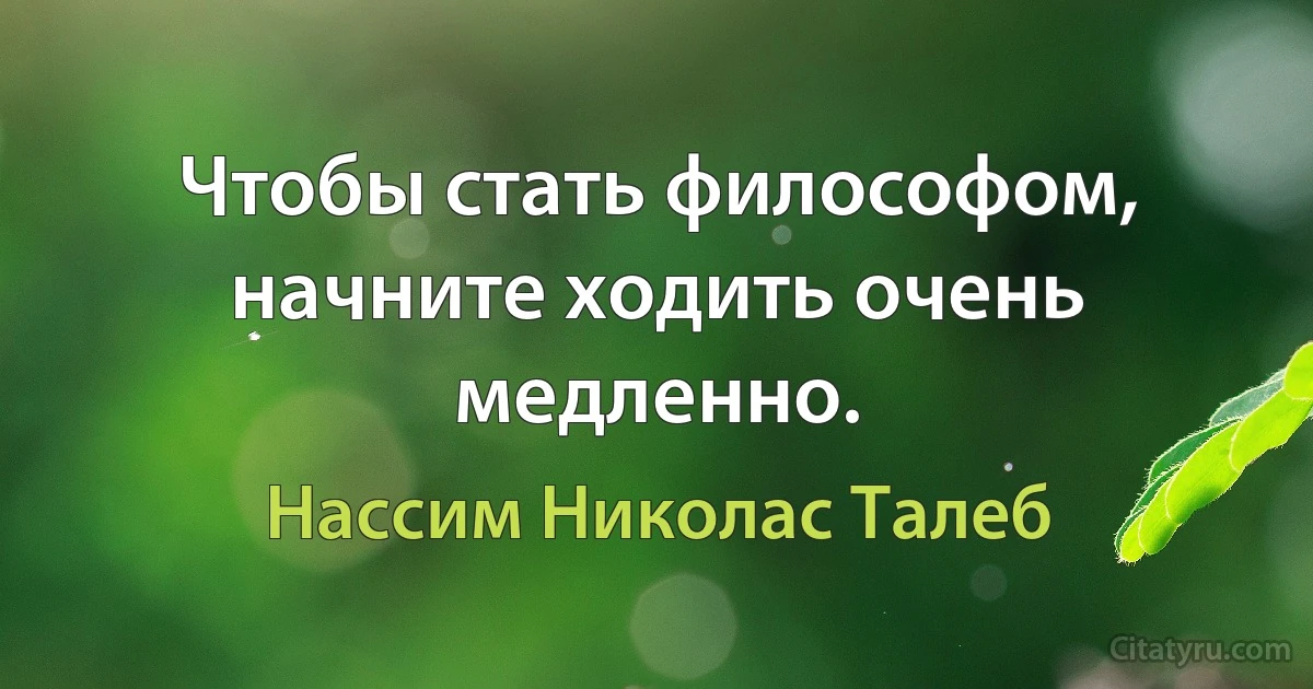 Чтобы стать философом, начните ходить очень медленно. (Нассим Николас Талеб)