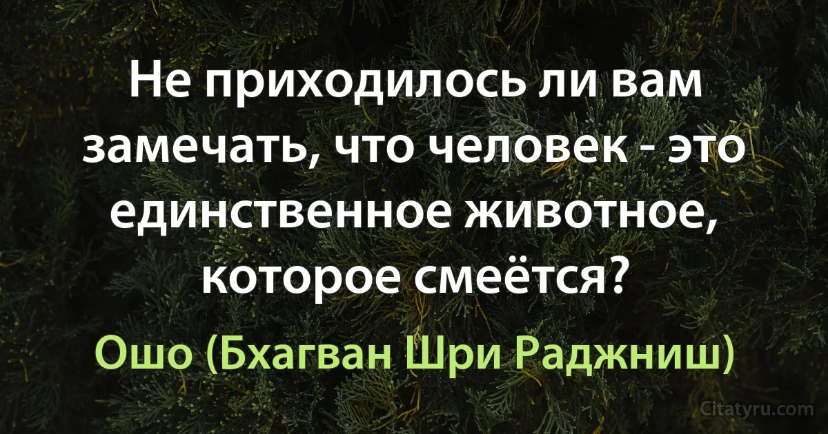 Не приходилось ли вам замечать, что человек - это единственное животное, которое смеётся? (Ошо (Бхагван Шри Раджниш))