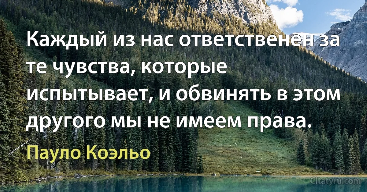 Каждый из нас ответственен за те чувства, которые испытывает, и обвинять в этом другого мы не имеем права. (Пауло Коэльо)