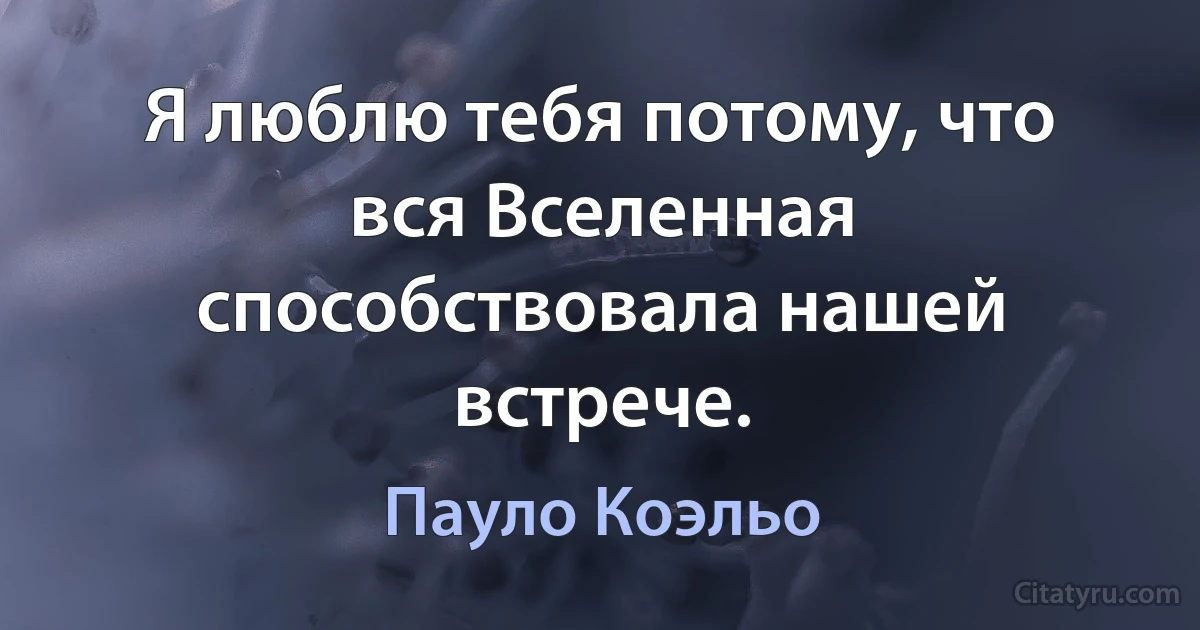 Я люблю тебя потому, что вся Вселенная способствовала нашей встрече. (Пауло Коэльо)