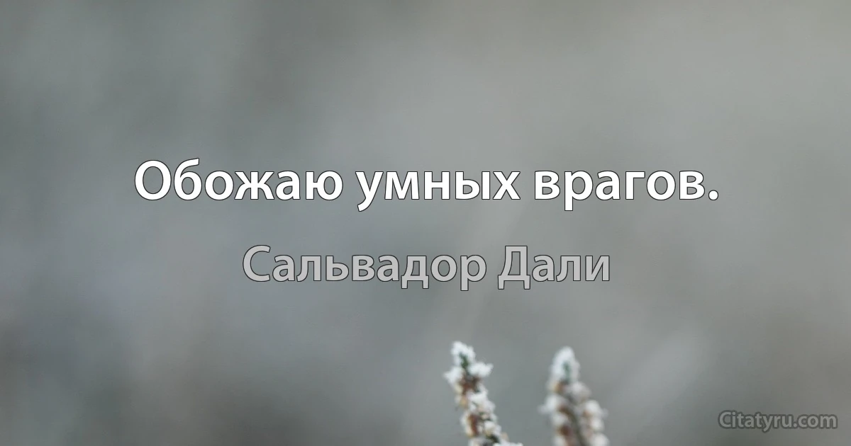 Обожаю умных врагов. (Сальвадор Дали)