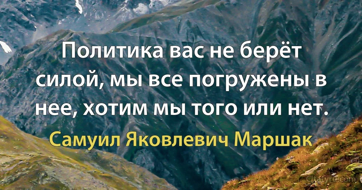 Политика вас не берёт силой, мы все погружены в нее, хотим мы того или нет. (Самуил Яковлевич Маршак)