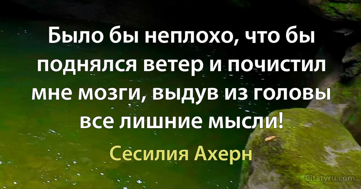 Было бы неплохо, что бы поднялся ветер и почистил мне мозги, выдув из головы все лишние мысли! (Сесилия Ахерн)