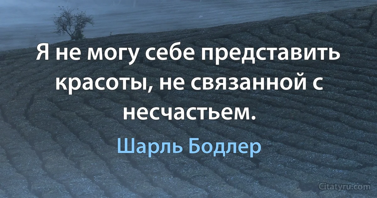 Я не могу себе представить красоты, не связанной с несчастьем. (Шарль Бодлер)