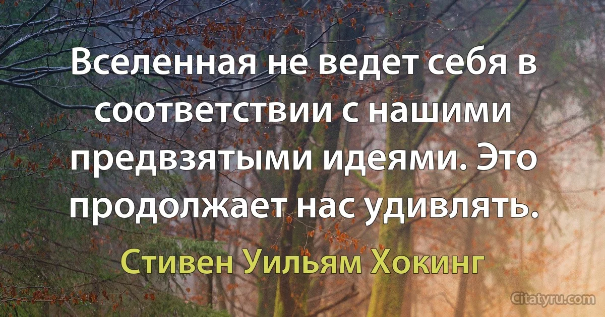 Вселенная не ведет себя в соответствии с нашими предвзятыми идеями. Это продолжает нас удивлять. (Стивен Уильям Хокинг)