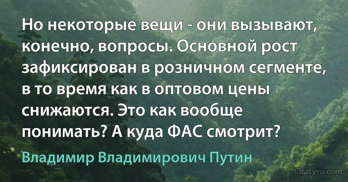 Но некоторые вещи - они вызывают, конечно, вопросы. Основной рост зафиксирован в розничном сегменте, в то время как в оптовом цены снижаются. Это как вообще понимать? А куда ФАС смотрит? (Владимир Владимирович Путин)