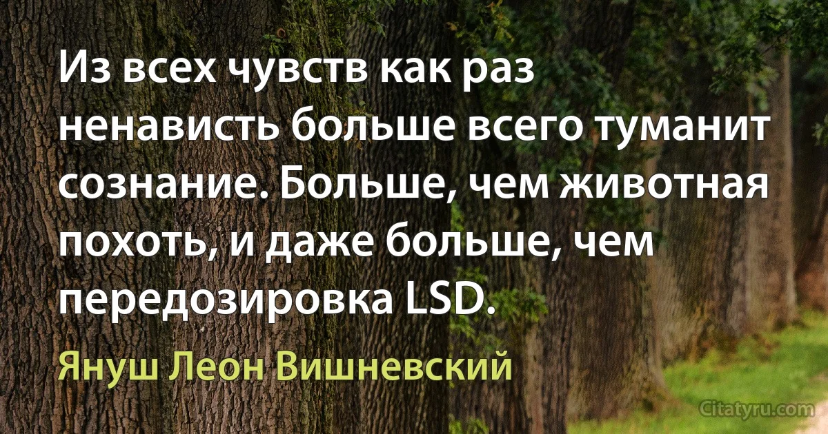 Из всех чувств как раз ненависть больше всего туманит сознание. Больше, чем животная похоть, и даже больше, чем передозировка LSD. (Януш Леон Вишневский)