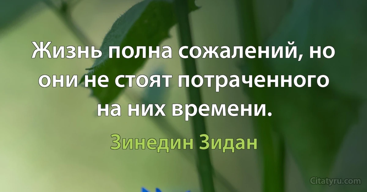 Жизнь полна сожалений, но они не стоят потраченного на них времени. (Зинедин Зидан)