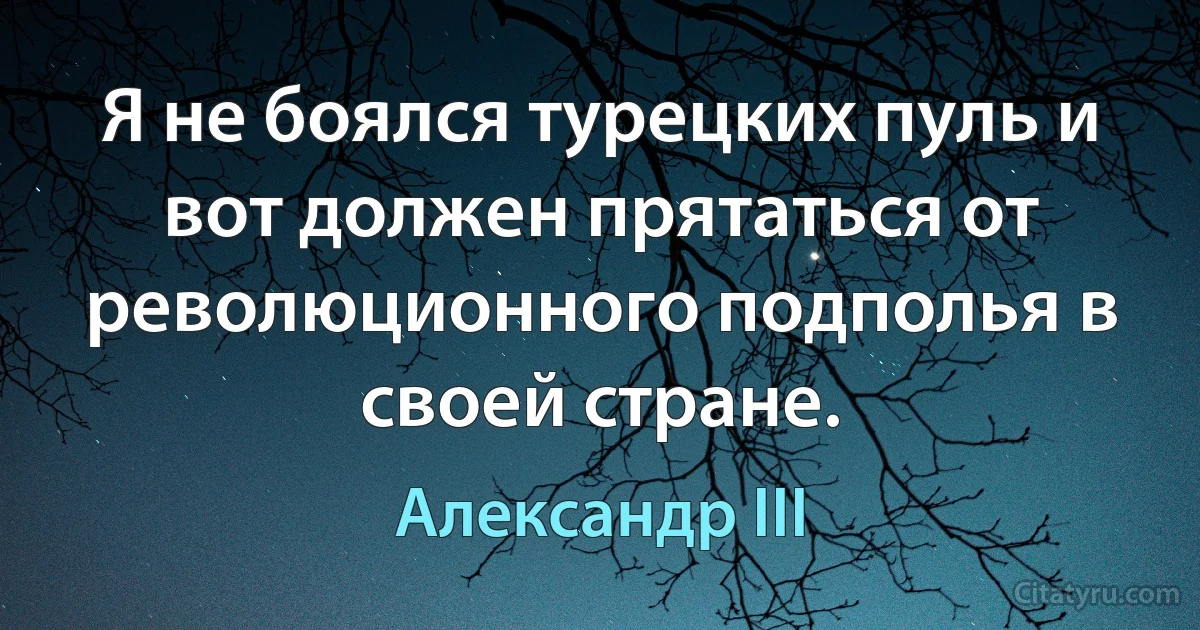 Я не боялся турецких пуль и вот должен прятаться от революционного подполья в своей стране. (Александр III)