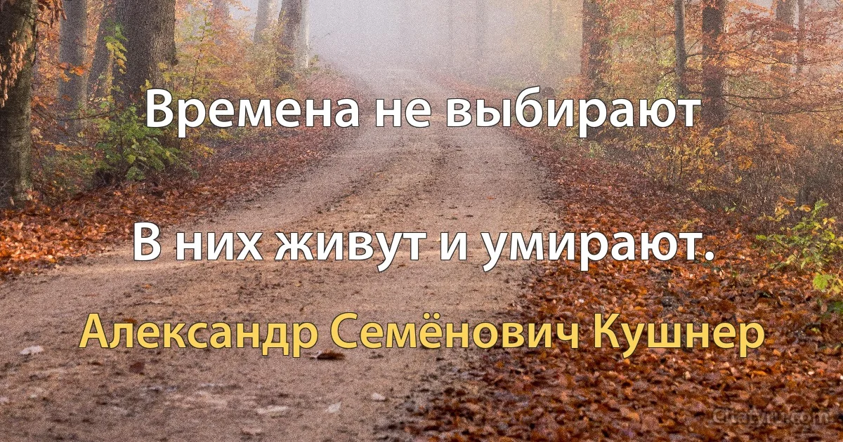 Времена не выбирают

В них живут и умирают. (Александр Семёнович Кушнер)