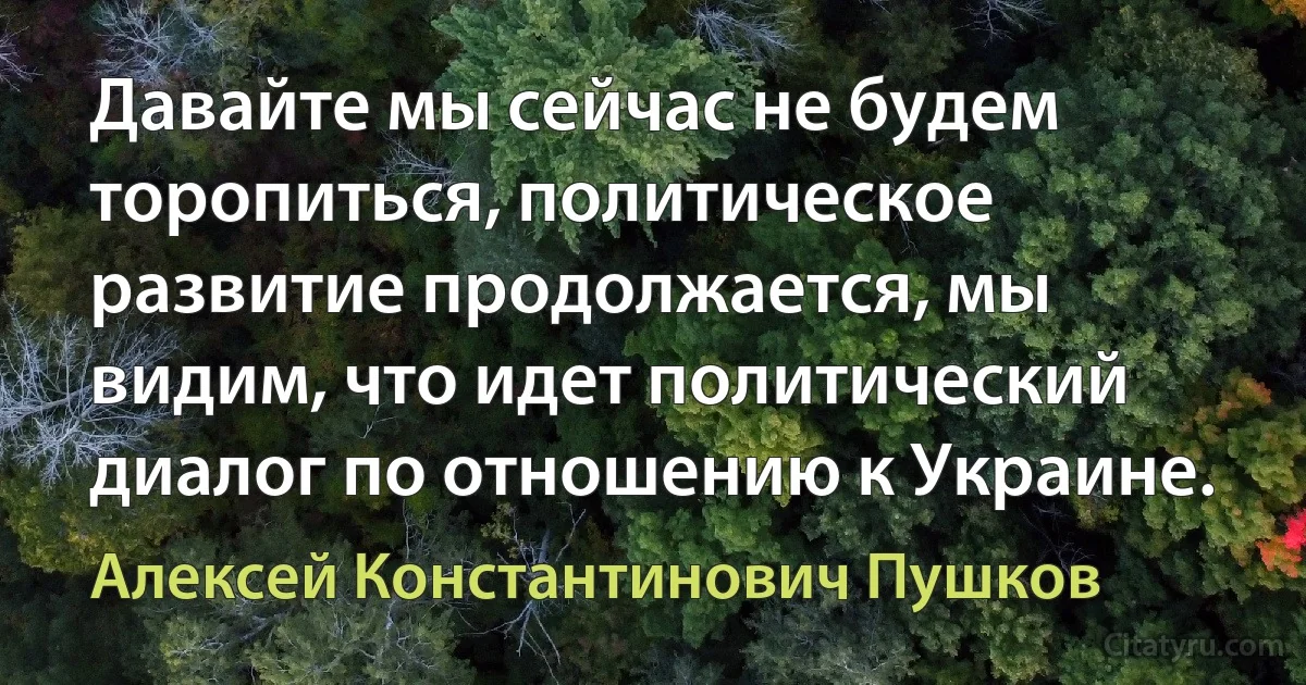 Давайте мы сейчас не будем торопиться, политическое развитие продолжается, мы видим, что идет политический диалог по отношению к Украине. (Алексей Константинович Пушков)