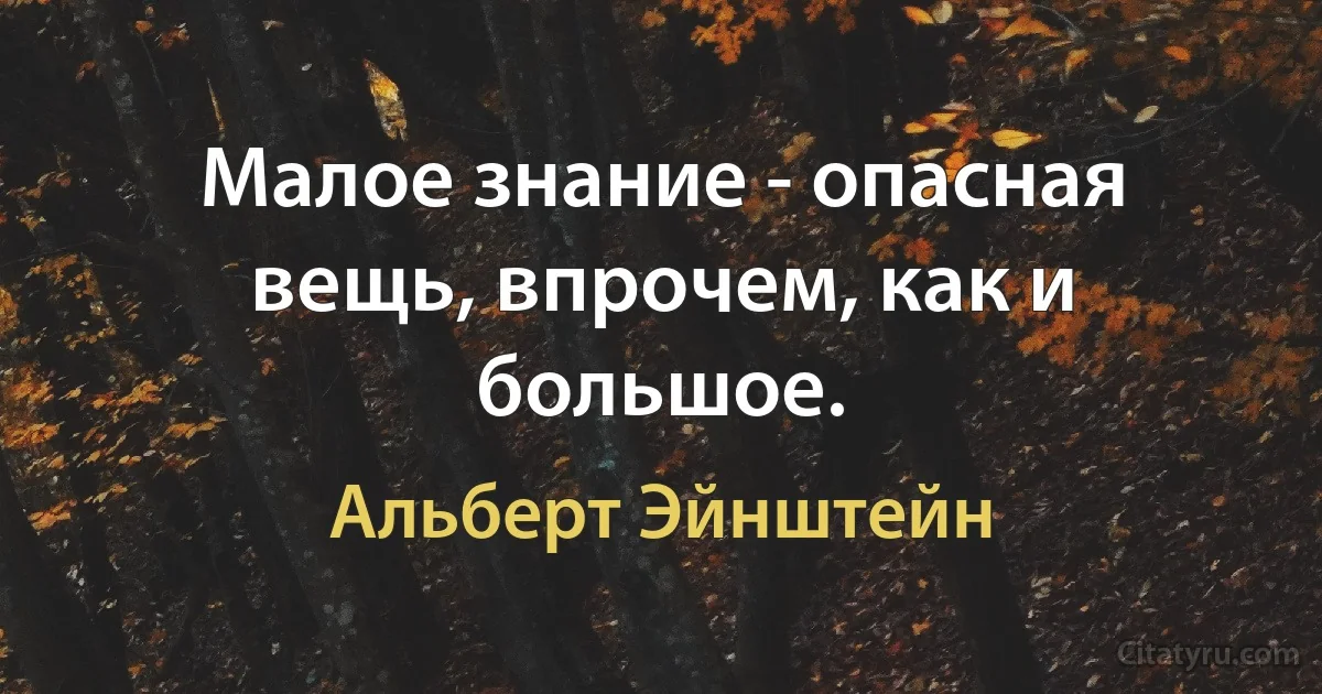 Малое знание - опасная вещь, впрочем, как и большое. (Альберт Эйнштейн)