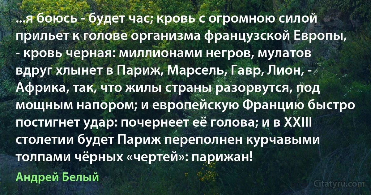 ...я боюсь - будет час; кровь с огромною силой прильет к голове организма французской Европы, - кровь черная: миллионами негров, мулатов вдруг хлынет в Париж, Марсель, Гавр, Лион, - Африка, так, что жилы страны разорвутся, под мощным напором; и европейскую Францию быстро постигнет удар: почернеет её голова; и в XXIII столетии будет Париж переполнен курчавыми толпами чёрных «чертей»: парижан! (Андрей Белый)