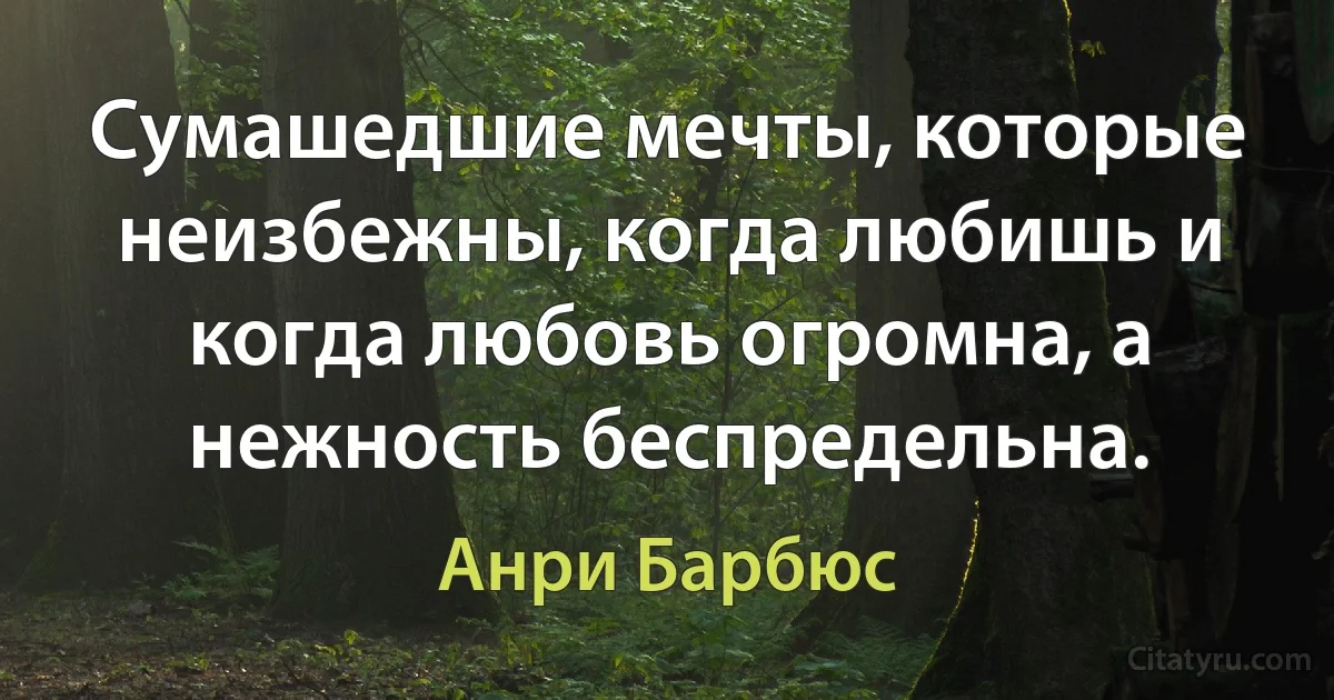 Сумашедшие мечты, которые неизбежны, когда любишь и когда любовь огромна, а нежность беспредельна. (Анри Барбюс)