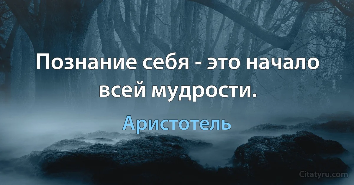 Познание себя - это начало всей мудрости. (Аристотель)