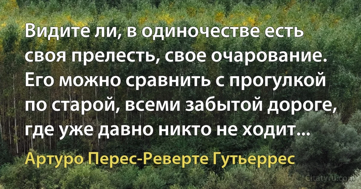 Видите ли, в одиночестве есть своя прелесть, свое очарование. Его можно сравнить с прогулкой по старой, всеми забытой дороге, где уже давно никто не ходит... (Артуро Перес-Реверте Гутьеррес)