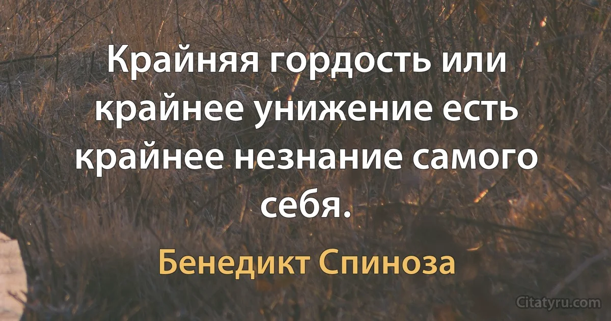 Крайняя гордость или крайнее унижение есть крайнее незнание самого себя. (Бенедикт Спиноза)