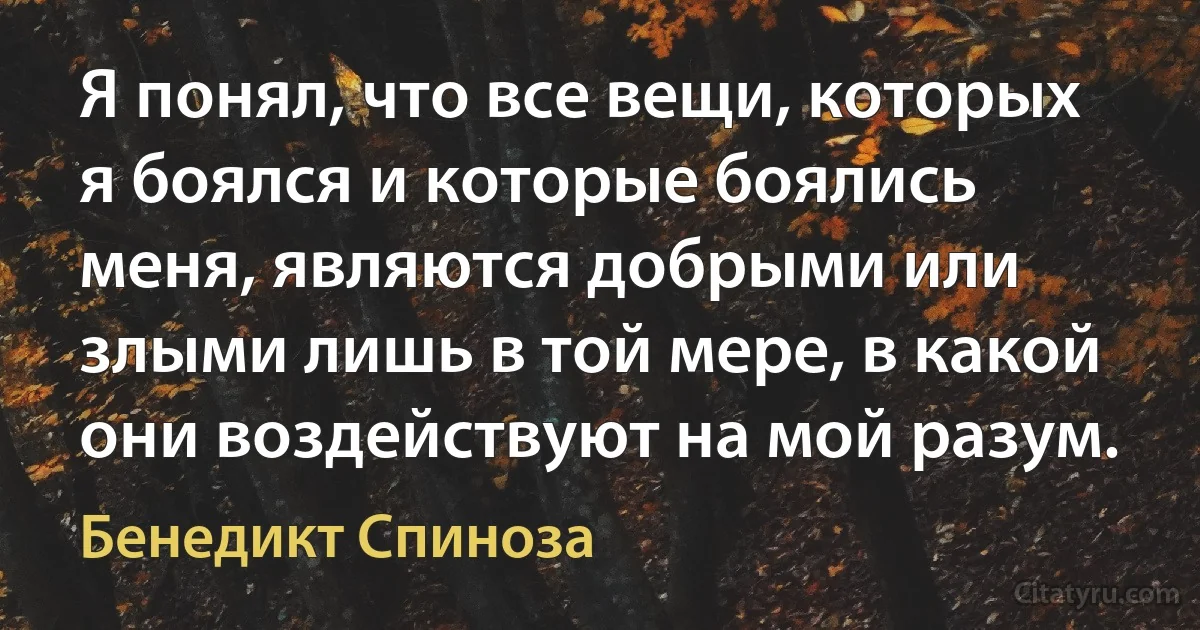 Я понял, что все вещи, которых я боялся и которые боялись меня, являются добрыми или злыми лишь в той мере, в какой они воздействуют на мой разум. (Бенедикт Спиноза)