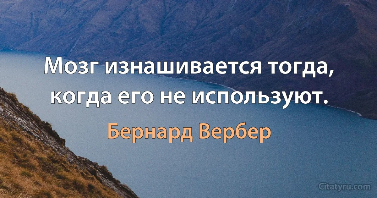 Мозг изнашивается тогда, когда его не используют. (Бернард Вербер)