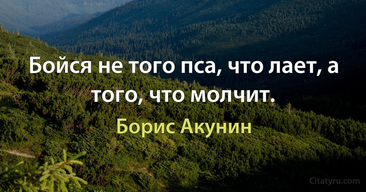 Бойся не того пса, что лает, а того, что молчит. (Борис Акунин)