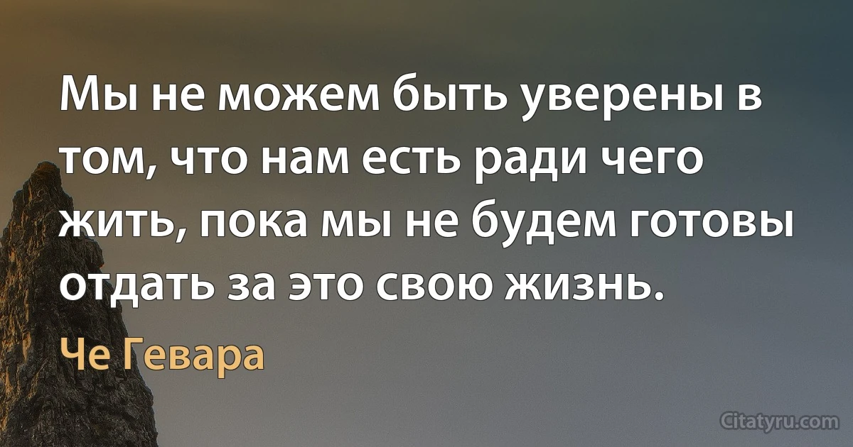 Мы не можем быть уверены в том, что нам есть ради чего жить, пока мы не будем готовы отдать за это свою жизнь. (Че Гевара)