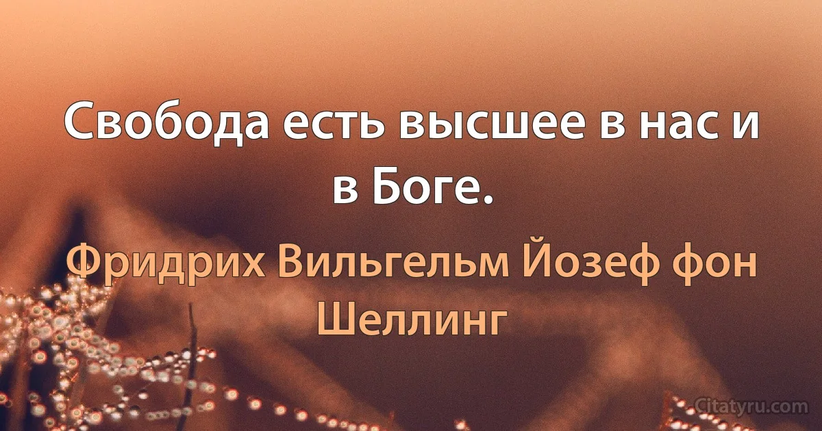 Свобода есть высшее в нас и в Боге. (Фридрих Вильгельм Йозеф фон Шеллинг)