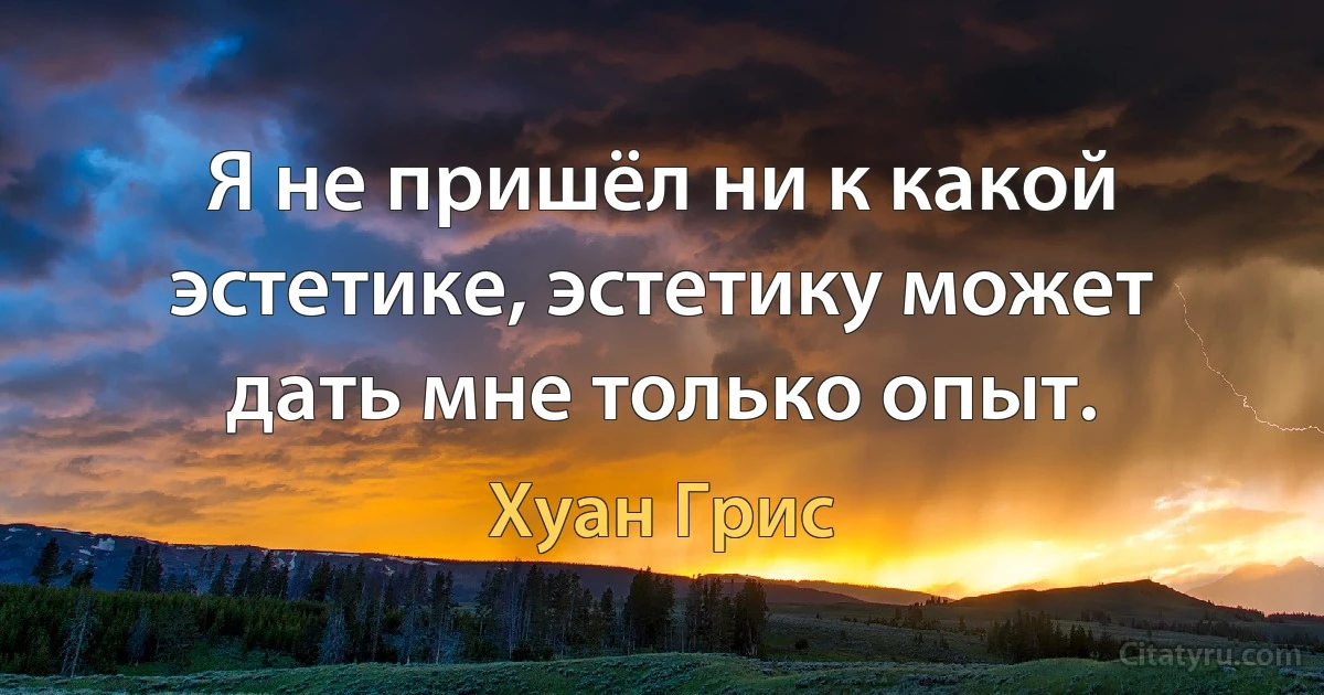 Я не пришёл ни к какой эстетике, эстетику может дать мне только опыт. (Хуан Грис)