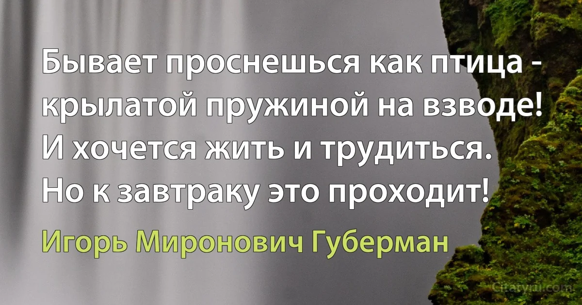 Бывает проснешься как птица - крылатой пружиной на взводе! И хочется жить и трудиться. Но к завтраку это проходит! (Игорь Миронович Губерман)