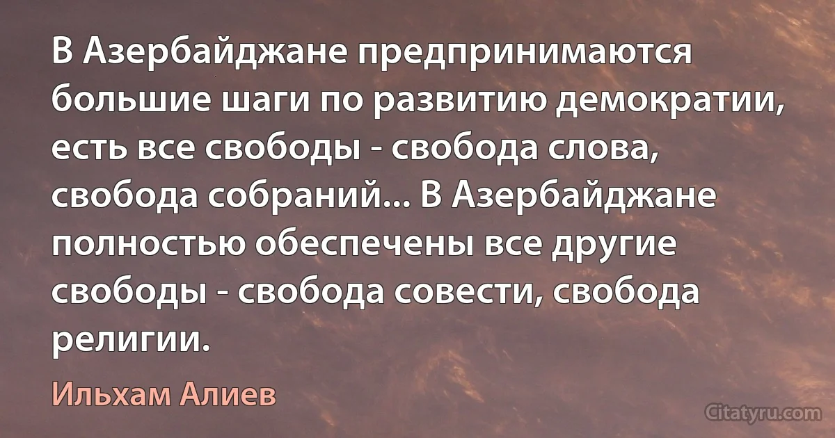 В Азербайджане предпринимаются большие шаги по развитию демократии, есть все свободы - свобода слова, свобода собраний... В Азербайджане полностью обеспечены все другие свободы - свобода совести, свобода религии. (Ильхам Алиев)