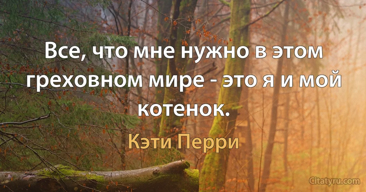 Все, что мне нужно в этом греховном мире - это я и мой котенок. (Кэти Перри)